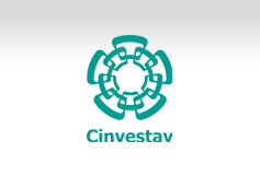 Logo 8